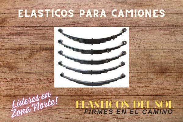 Taller de Elásticos Zona Norte